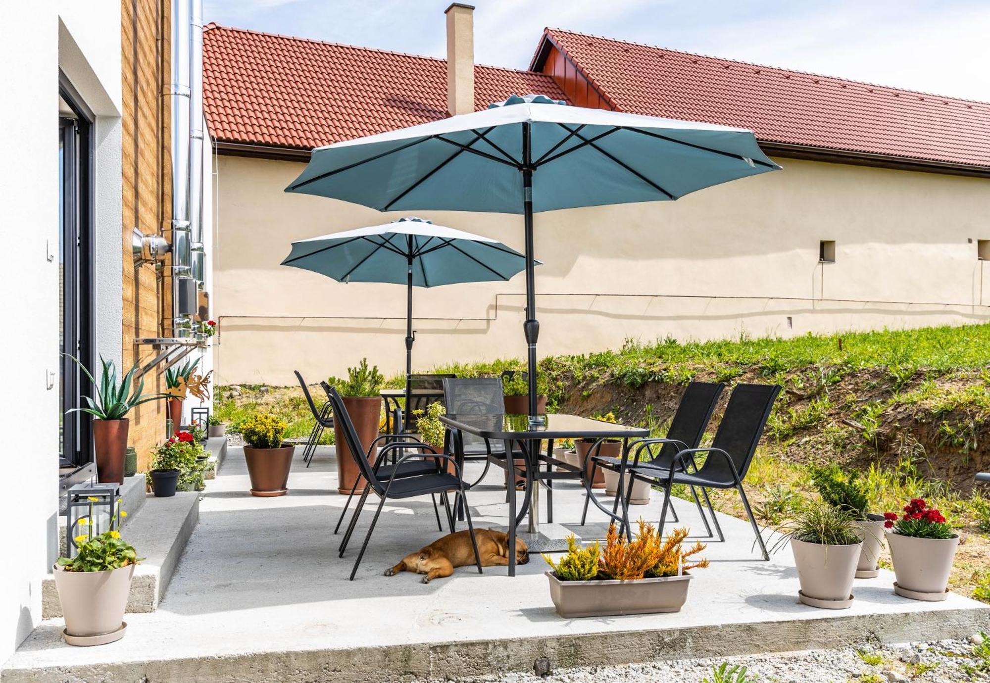 Stylish Apartment With Free Parking Зволен Экстерьер фото